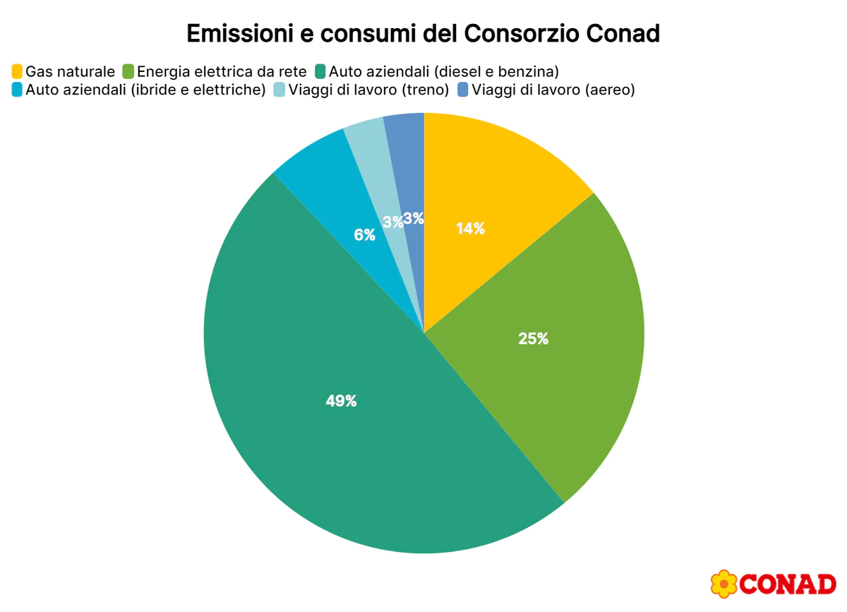 Emissioni e consumi Consorzio Conad@2x.png
